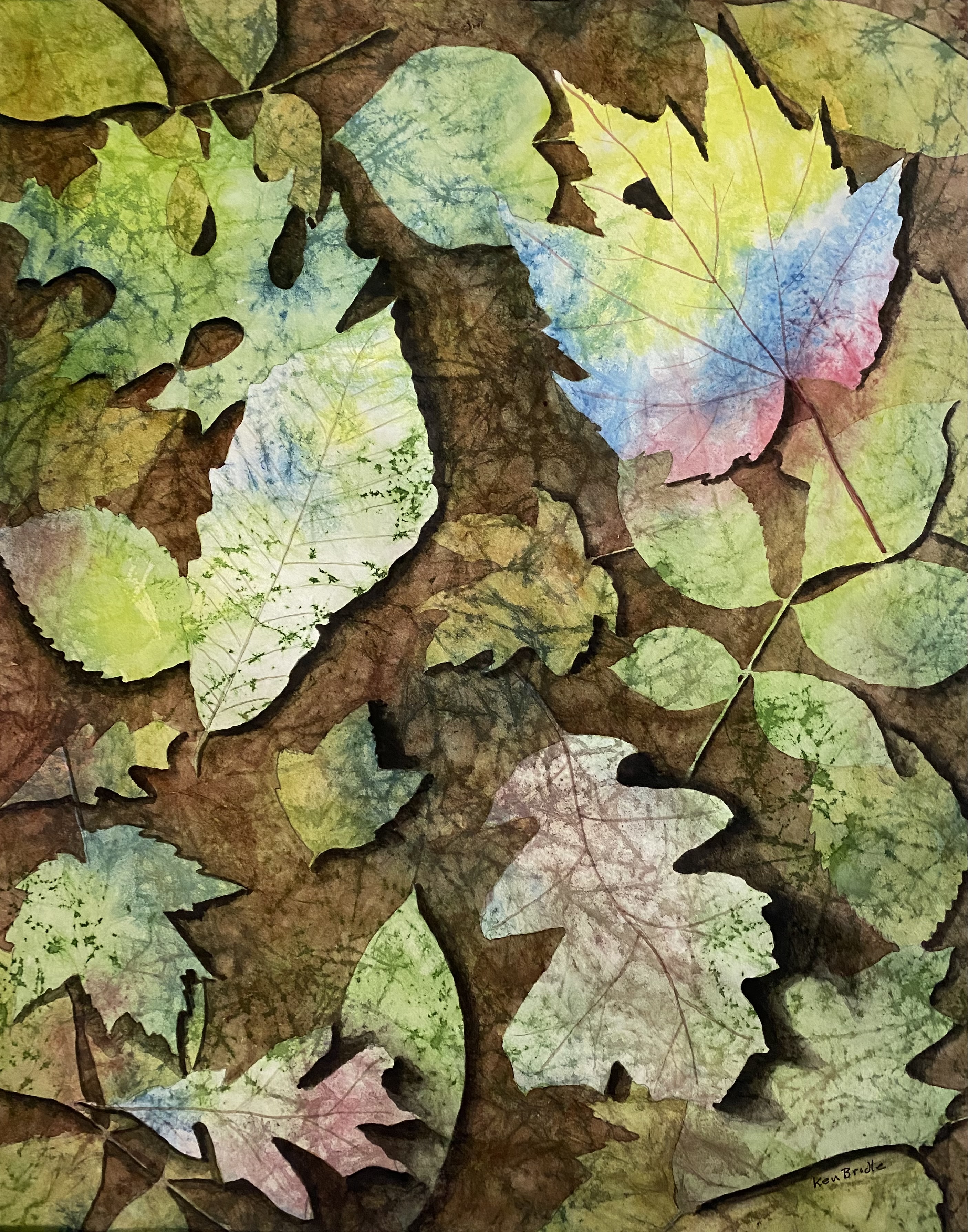 Leaf collage header image by Ken Bridle